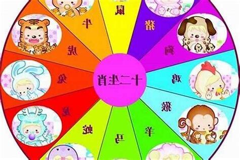 十二生肖 五行
